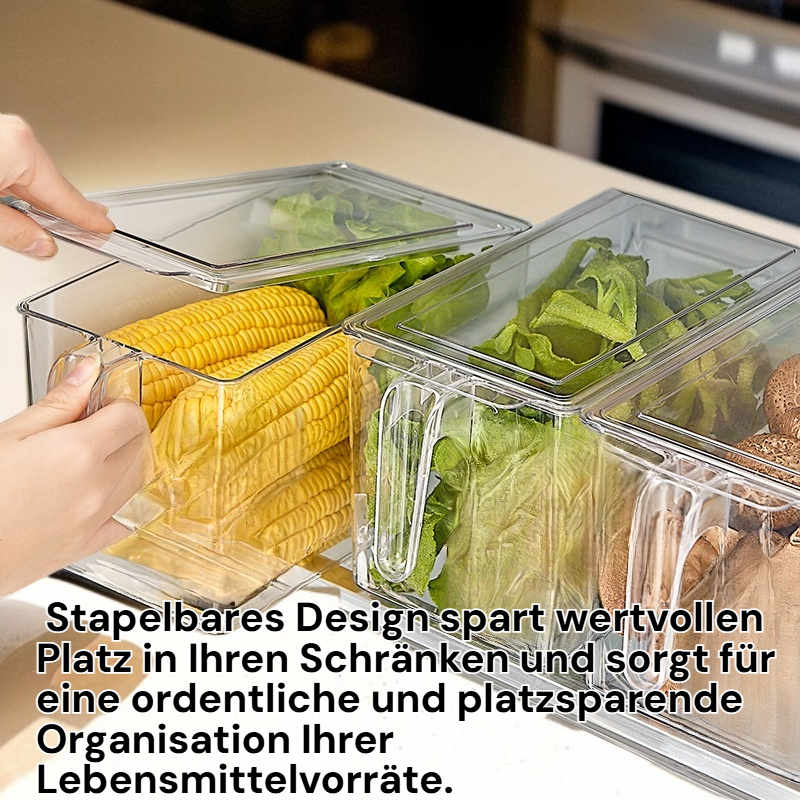 Transparente lebensmittelechte Aufbewahrungsboxen