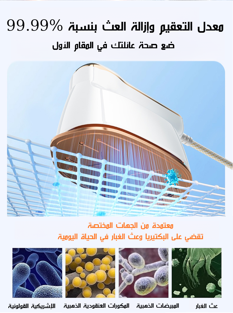 مكواة يدوية محمولة عالية الطاقة للاستخدام المنزلي