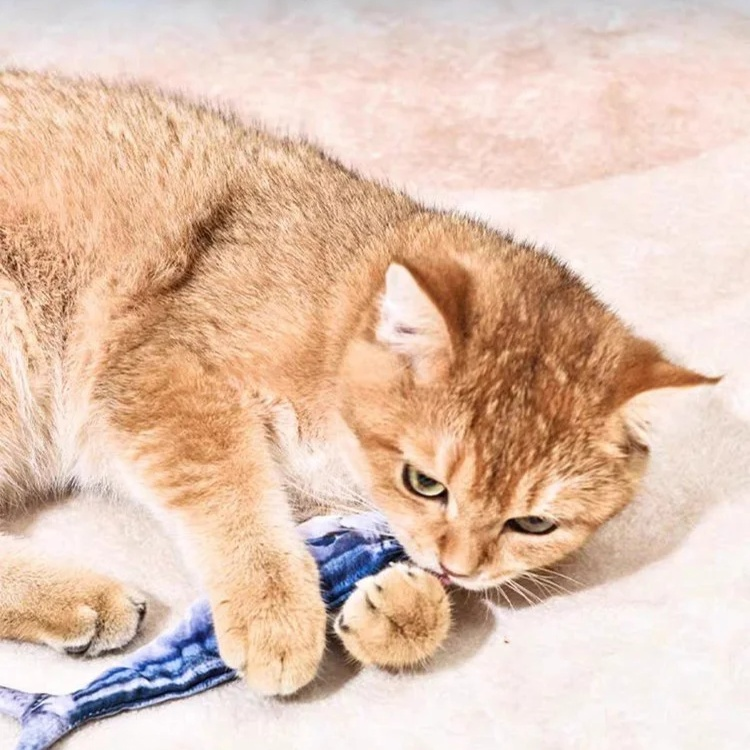 翻译件-FM-猫咪玩具仿真摇摆电动鱼-1326029_09.jpg