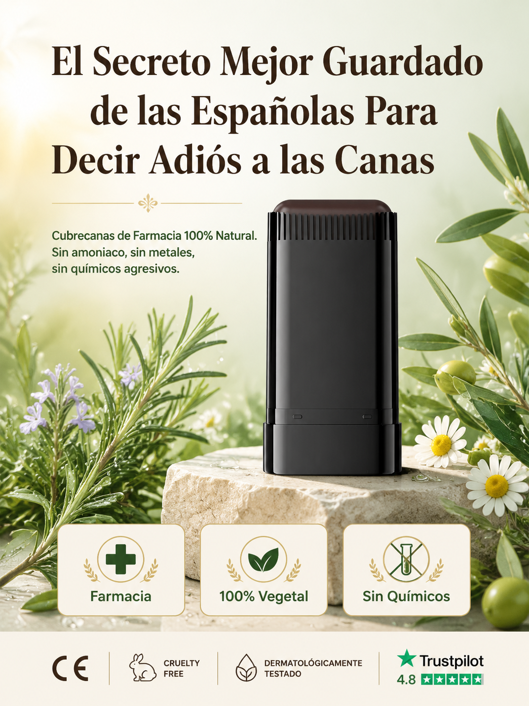 c47956de-c598-4605-a44f-98f0526e77f8.png