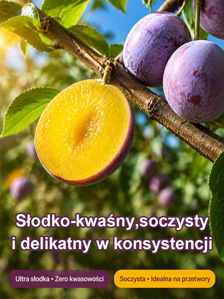 xq_07.jpg
