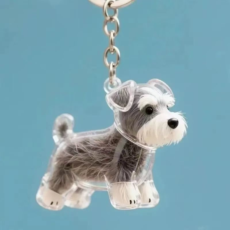 Porte-clés avec pendentif chien, boîte transparente pour poils d'animaux