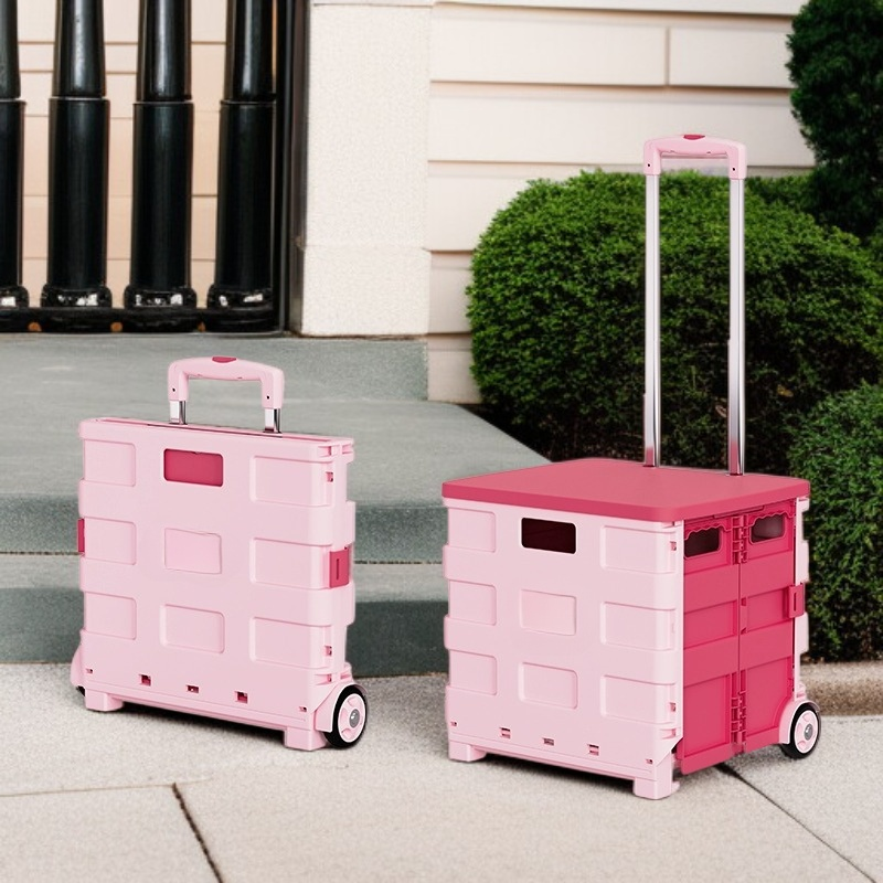 Leichter Kunststoff-Handwagen mit Ziehgriff