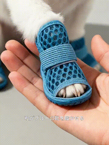 proxy (4).gif
