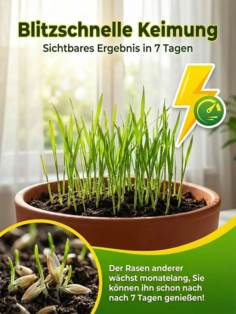 【Keimrate 99%】Vierjahreszeiten-Gras, frostbeständiger Rasensamen