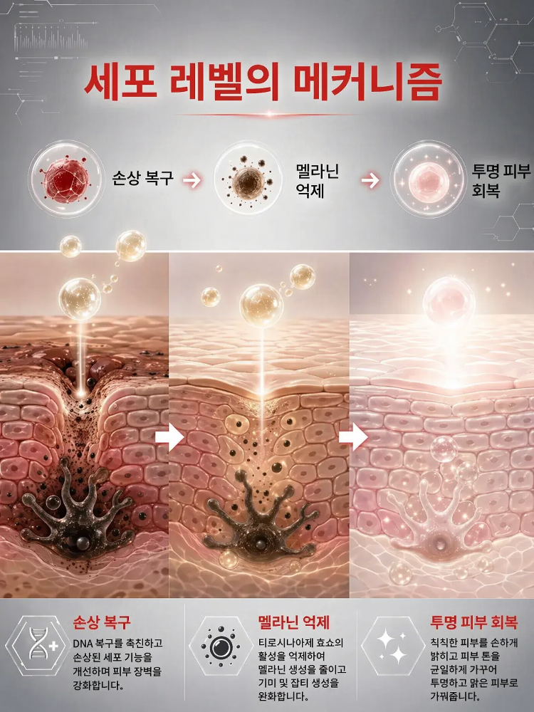 【7일 만에 완고한 잡티 제거】천연 성분 기미 크림
