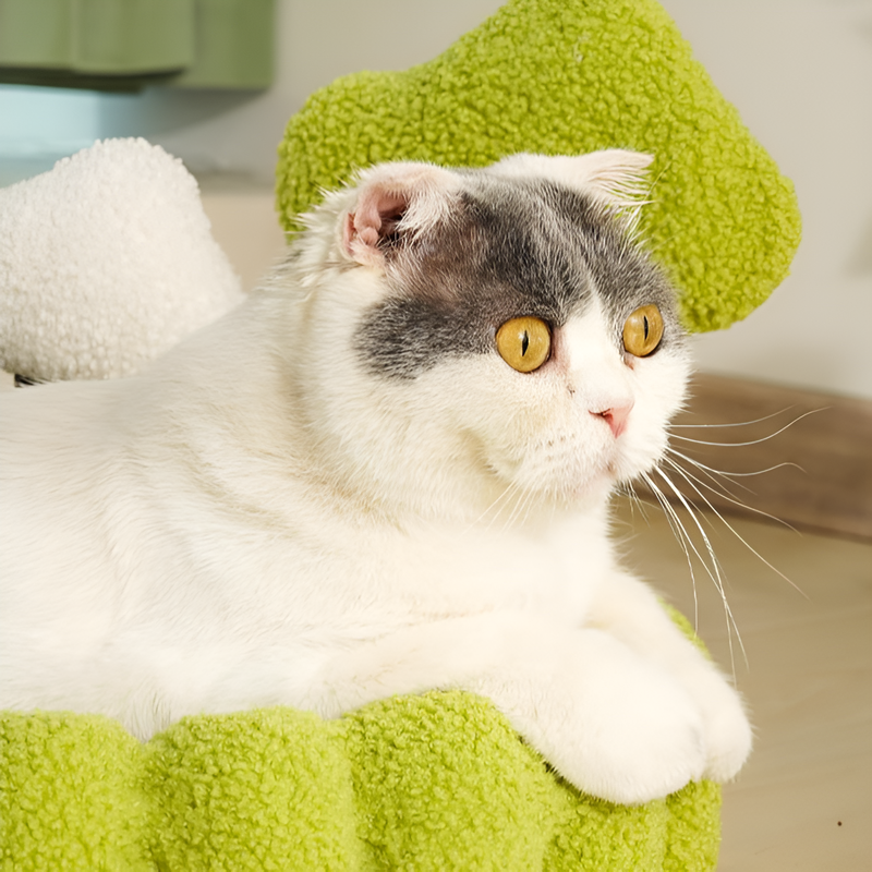 Luxuriöser Katzenkratzbaum mit Katzenbett