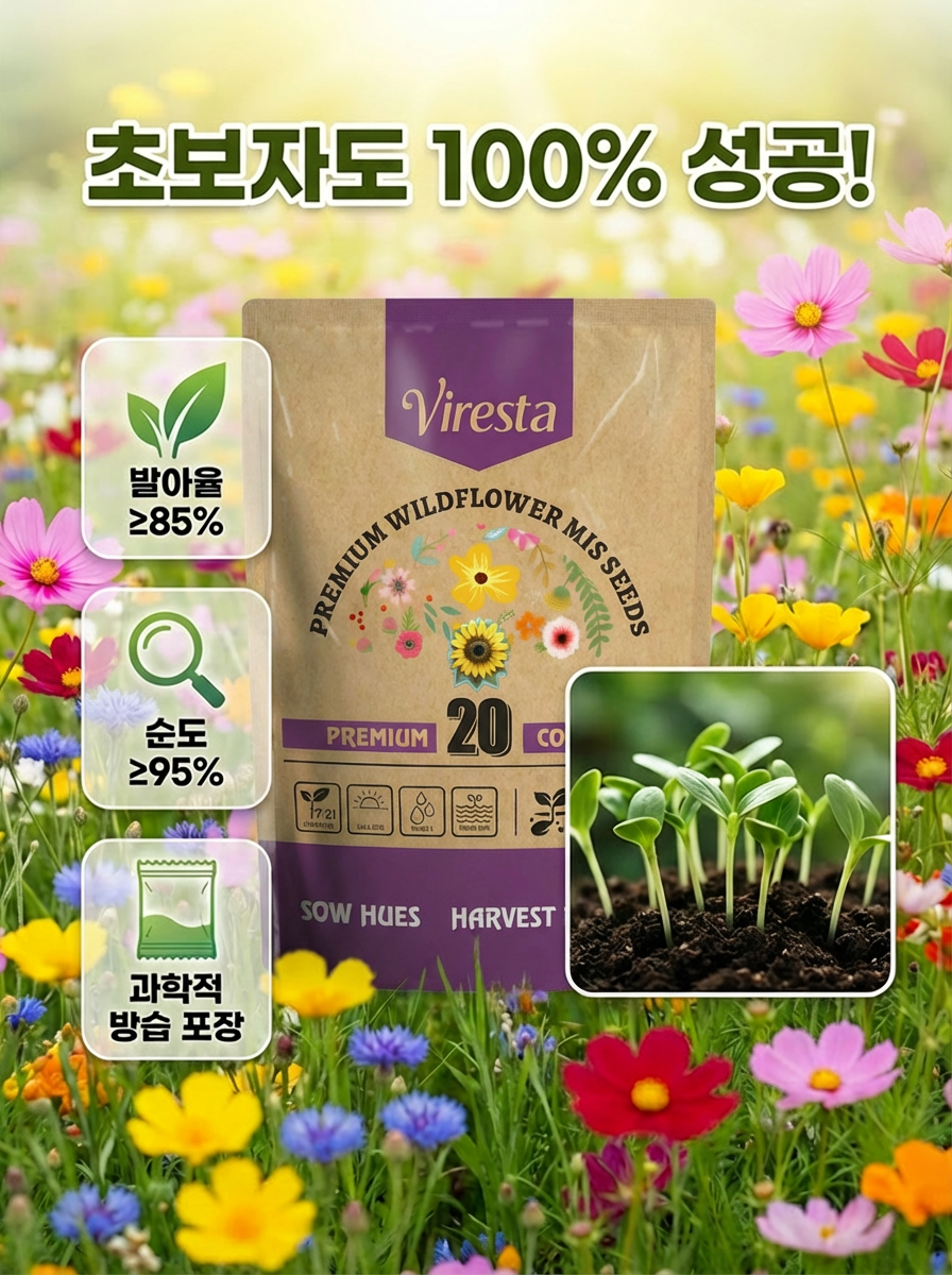 【24만명 구매】재배가 쉬운 혼합 꽃 씨앗