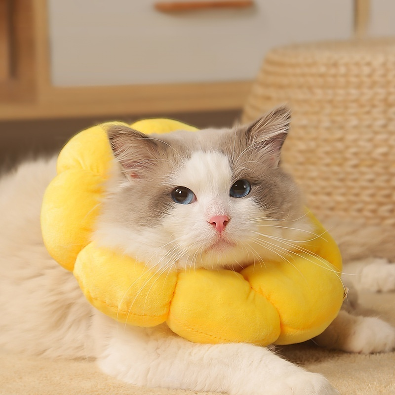 Collier Elizabeth pour animaux