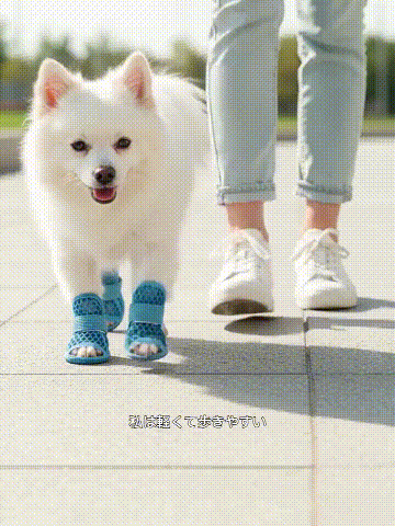 proxy.gif