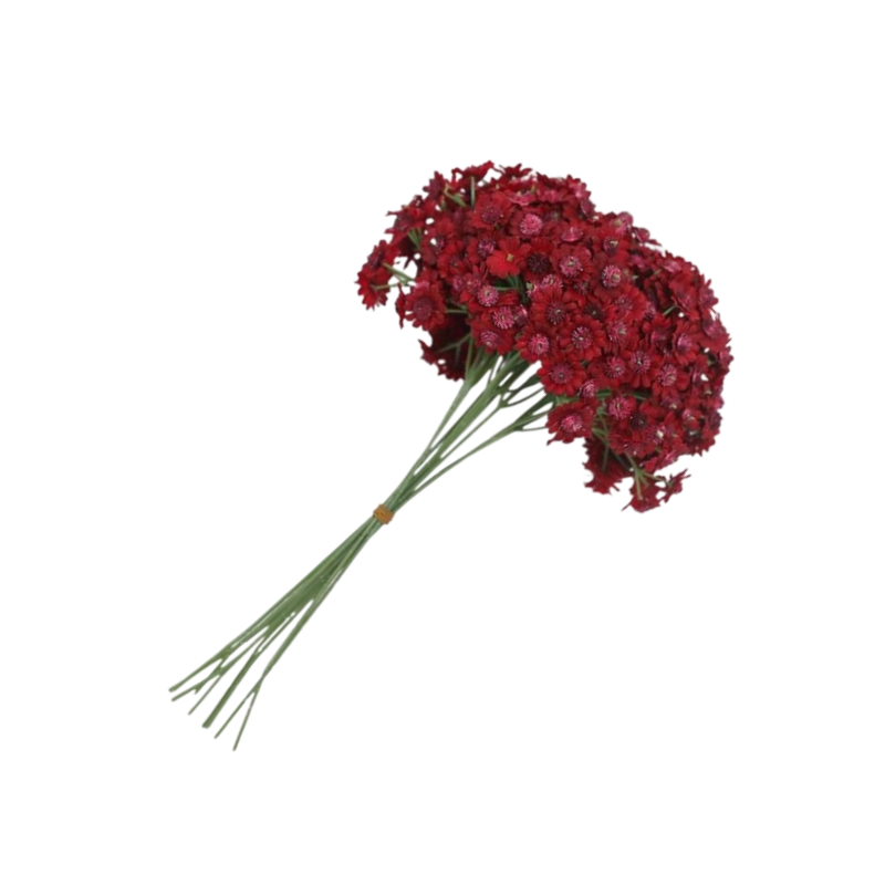 Adorno de ramo de margaritas