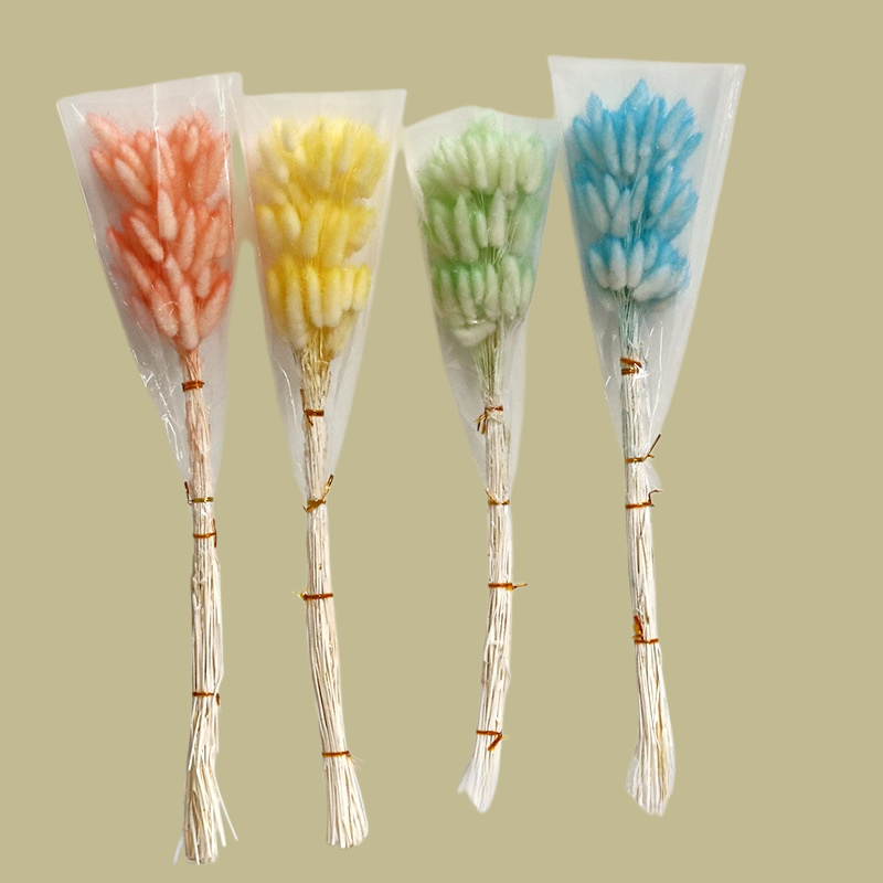 컬러 천연 강아지풀 꽃다발 