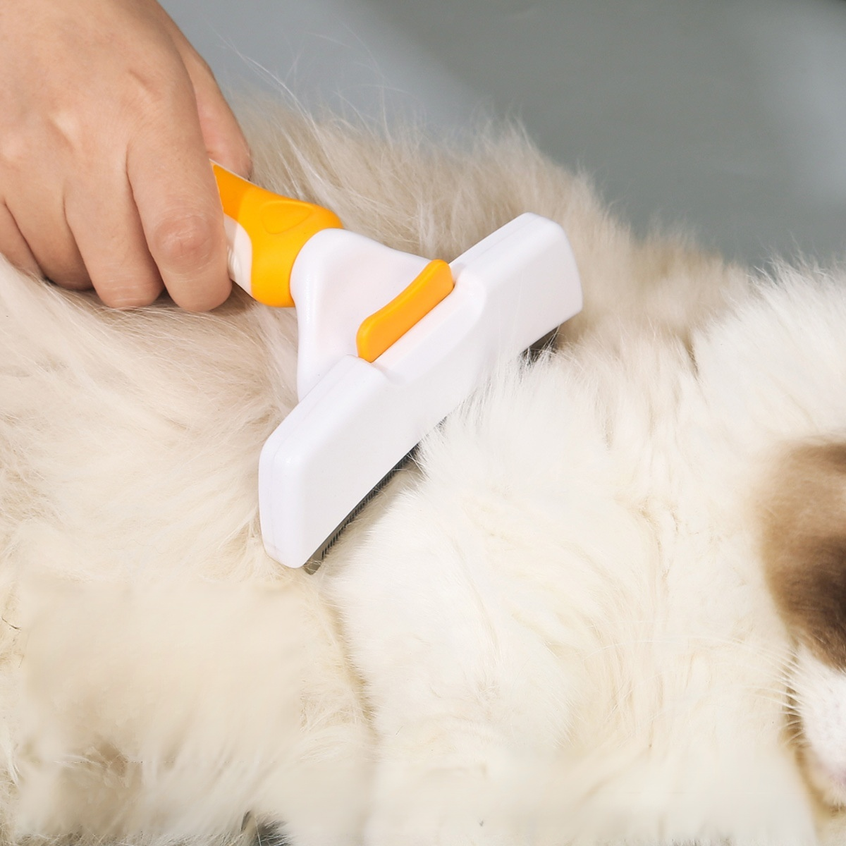 Hair removal tool for cats and dogs