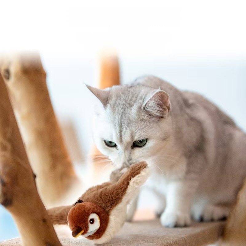jouets de simulation de moineau