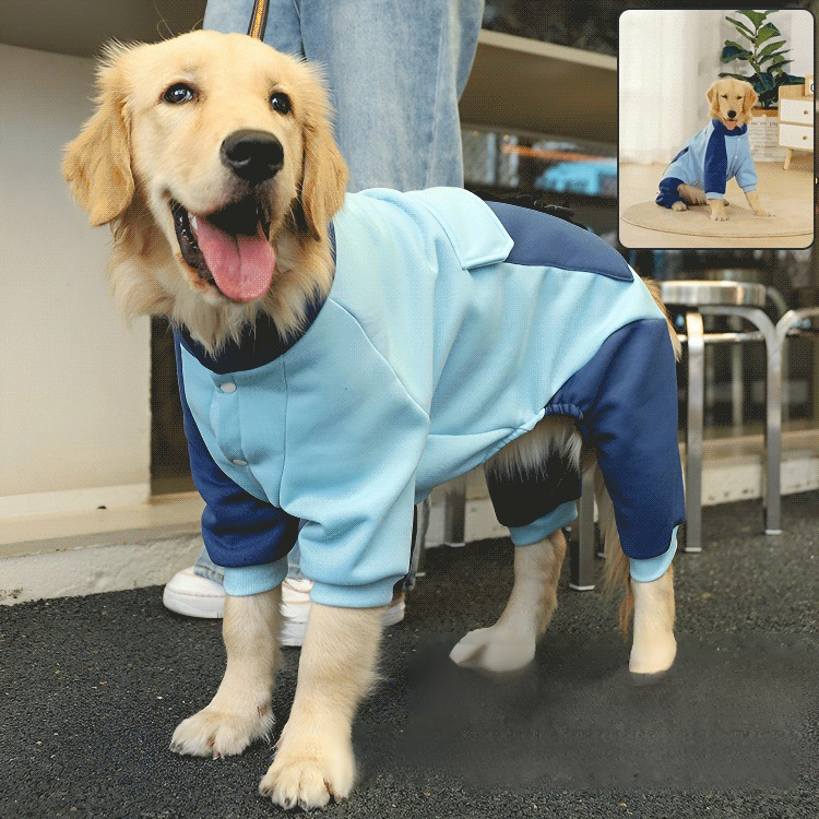 秋冬ペットセーター