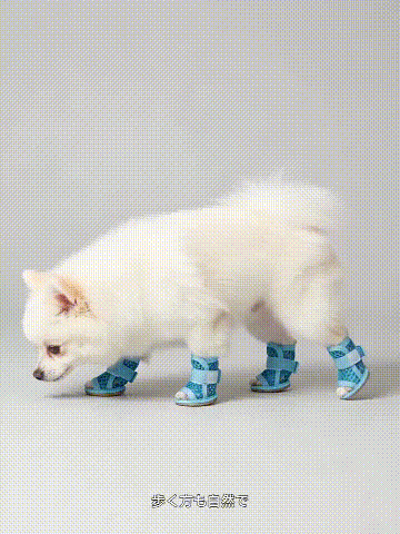 p5roxy (3).gif