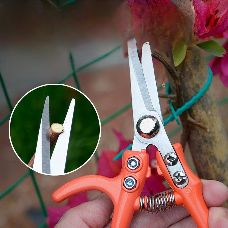 Gartenbauschere für Grünpflanzen, geeignet zum Pfropfen und Beschneiden