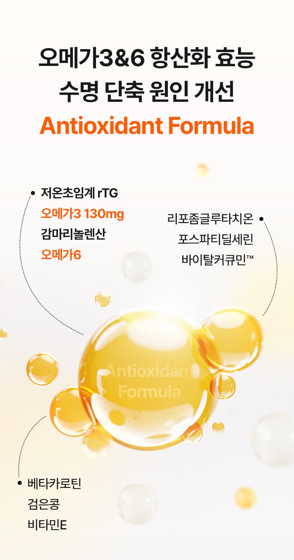 43_tg_om_dog_img (1).jpg