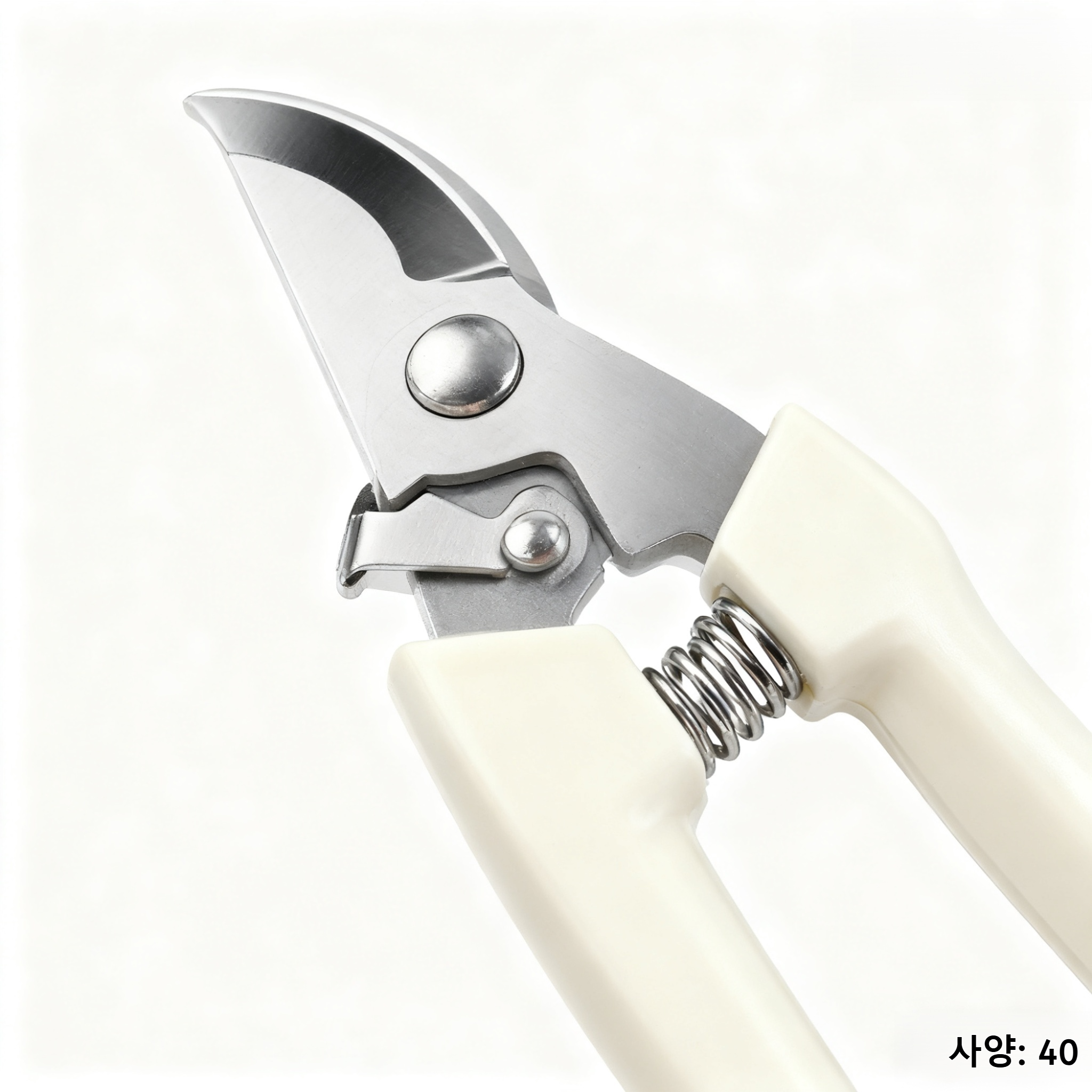 정원에서 과일을 수확하는 모습