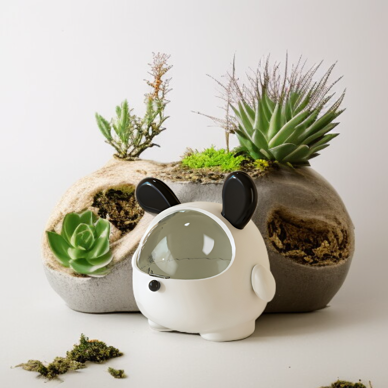 Multifunctional Storage Box with Cover, Entrance Organizer for Home and Office