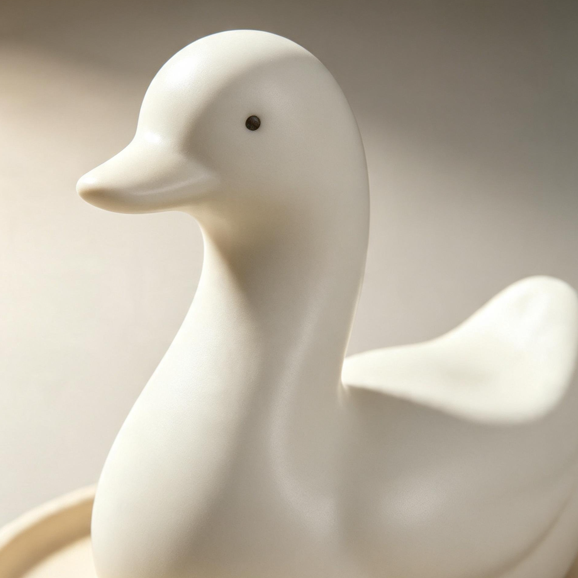 Creative Little Duck Home Decor