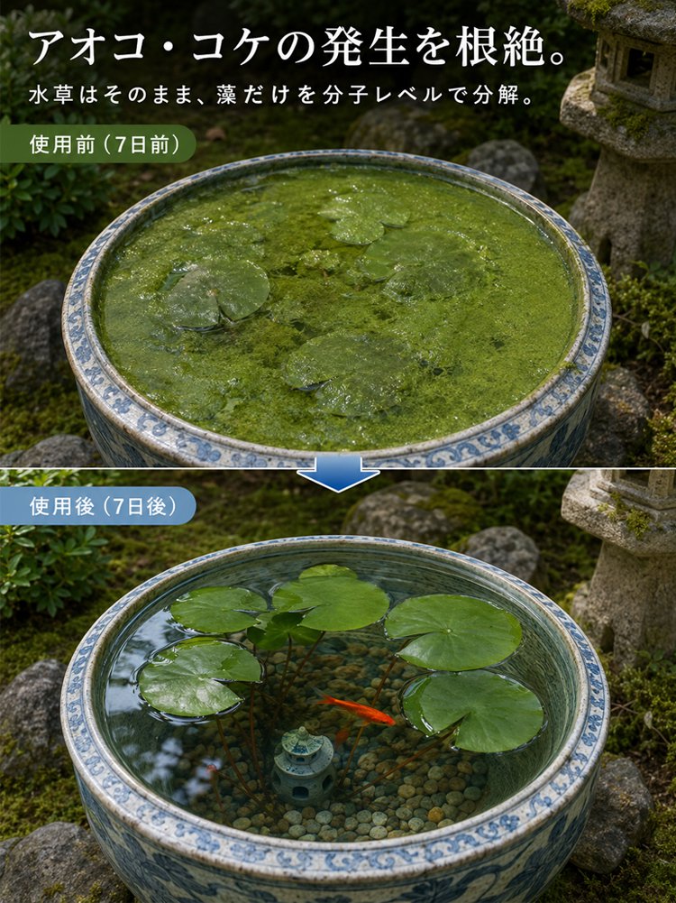 片_26.jpg