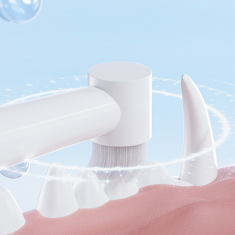 Pet cat soft bristle toothbrush