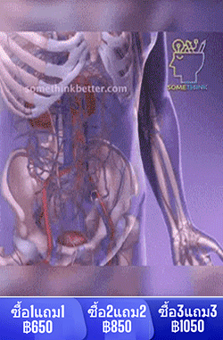 【คืนหลอดเลือดที่แข็งแรงให้คุณใน 15 วัน】แคปซูลน้ำมันคริลล์แอนตาร์กติก