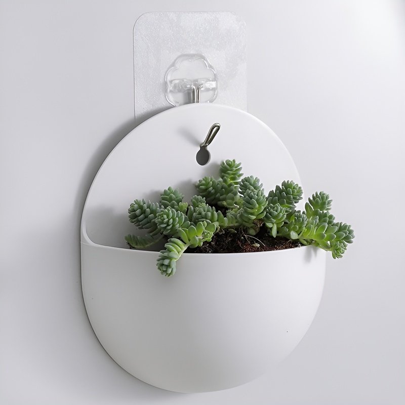 水耕栽培グリーンラディッシュ壁掛けフラワーベース