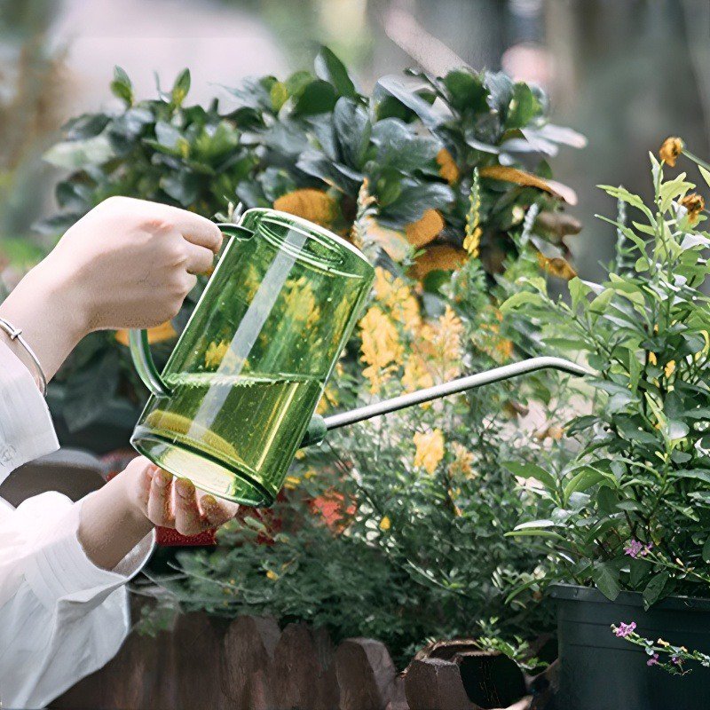 Stainless Steel Long Spout Watering Can for Home Gardening