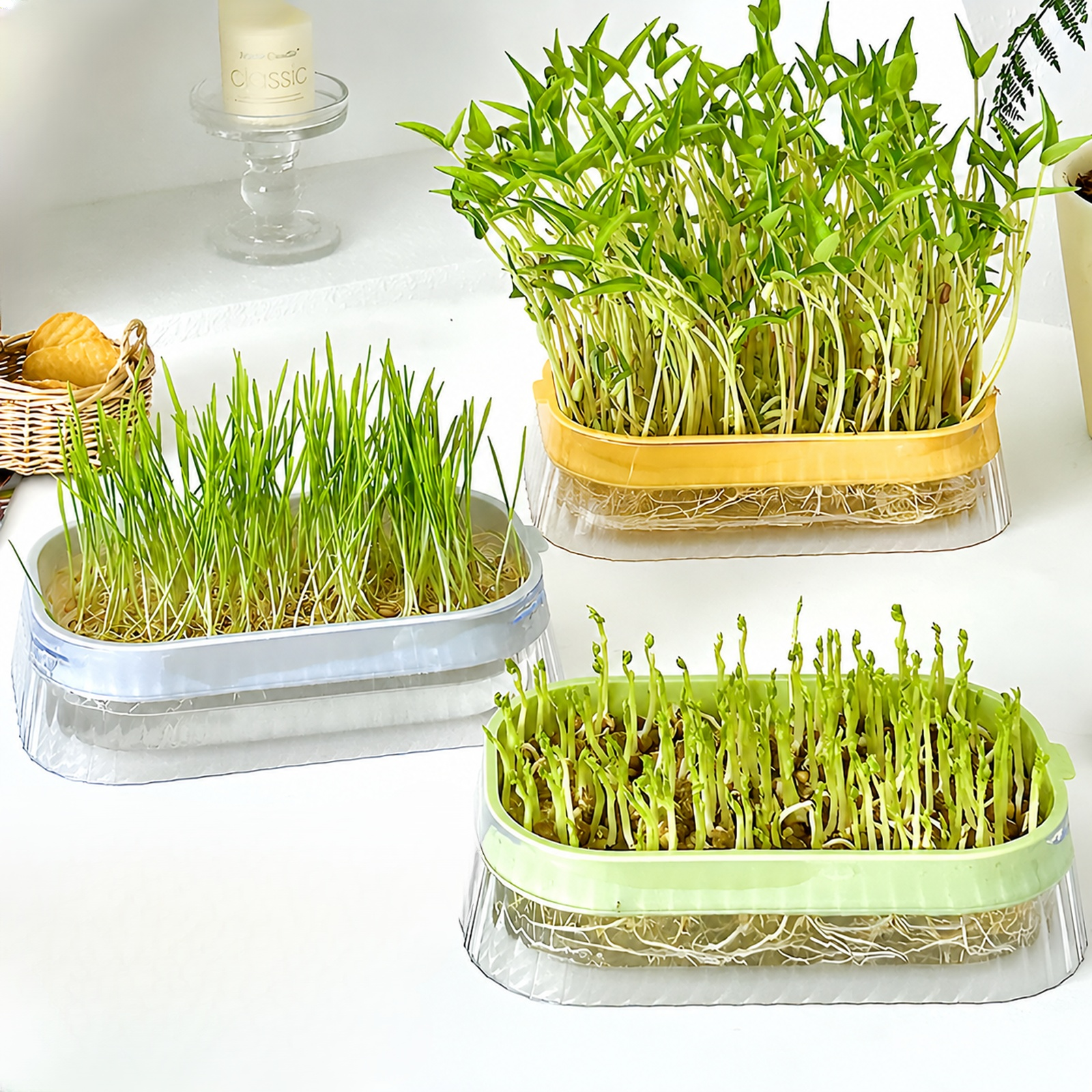 Bean Sprout Hydroponic Planter