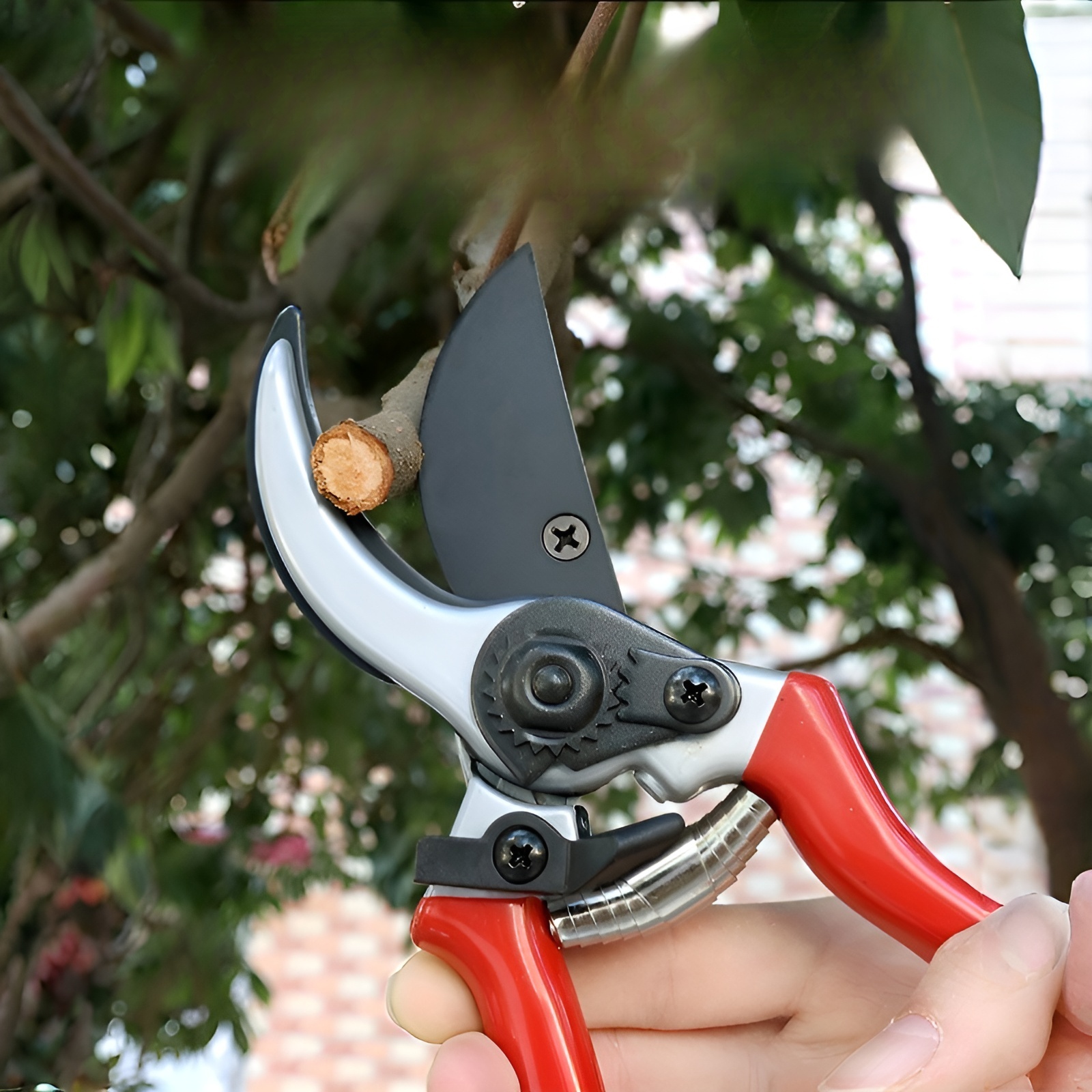 Garten-Astschere für Obstbäume, robuste Baumschere