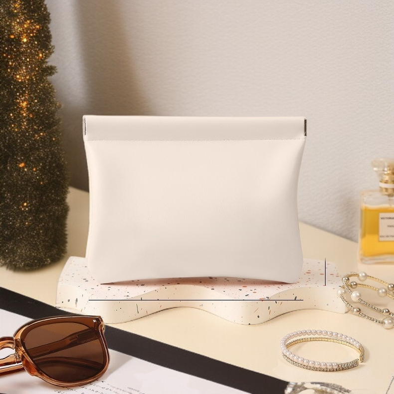 Portable Mini Organizer Coin Lipstick Earphone Pouch