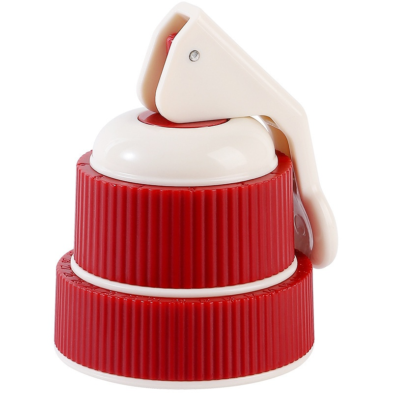 Press-type timer wine stopper