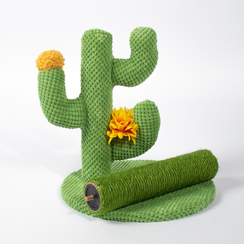 Arbre à chat cactus