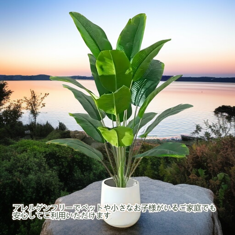 シミュレーション観葉植物 ホームデコ用バイオ模擬グリーン