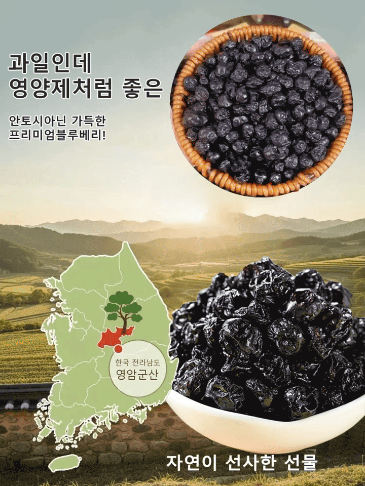 【항암·심장 건강 보호】블루베리 건조