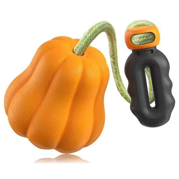 강아지 호박 장난감