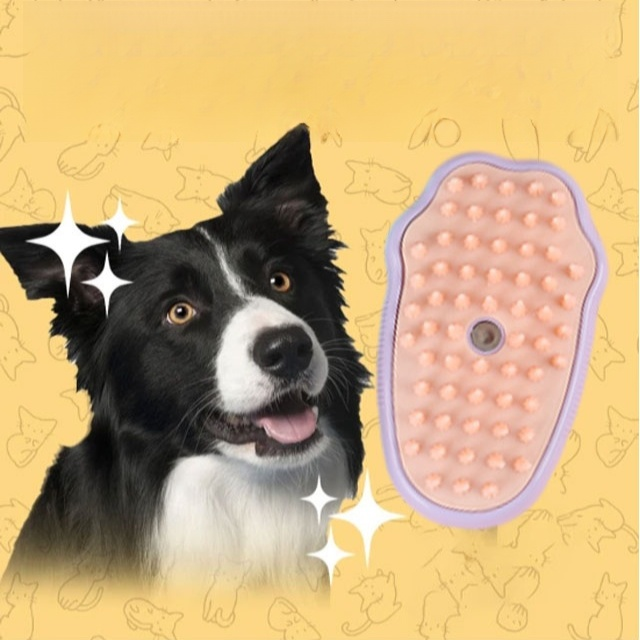 Wet and dry pet grooming brush