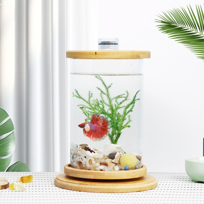Drehbares Mini-Aquarium
