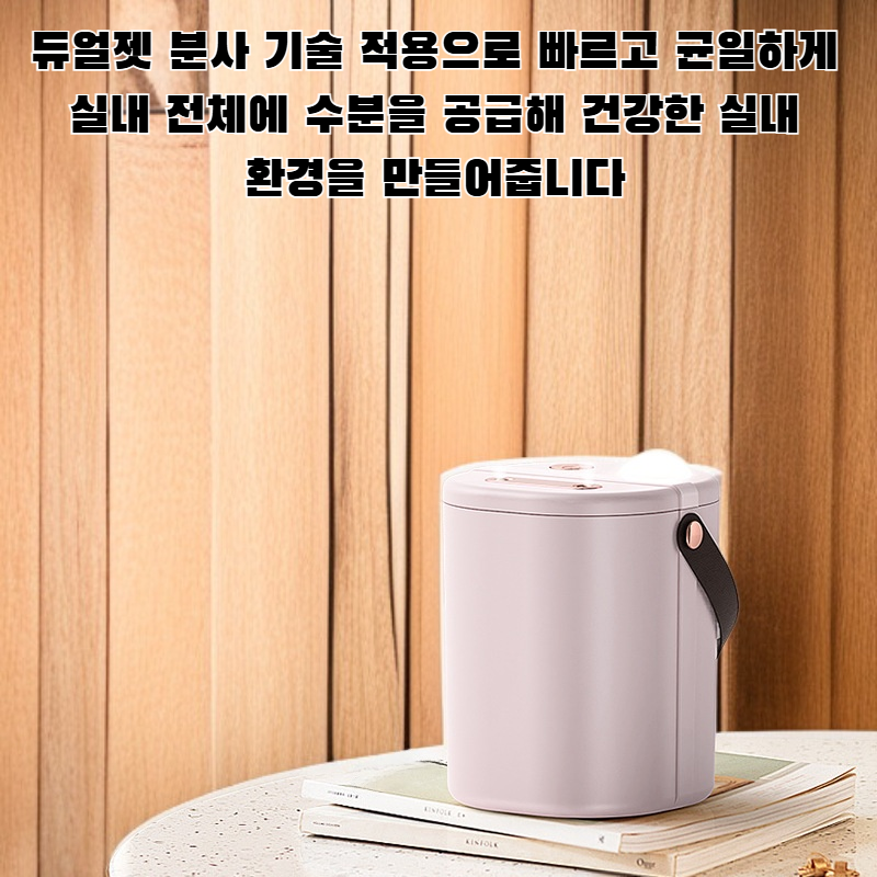 듀얼젯 대용량 실내 가습기