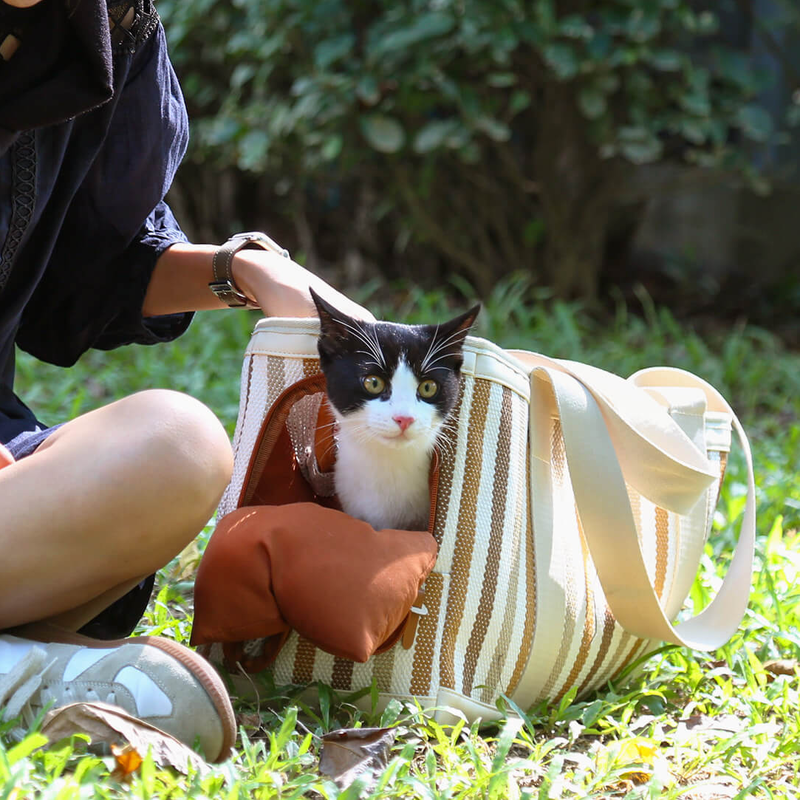 Pet Travel Portable Carrier Bag