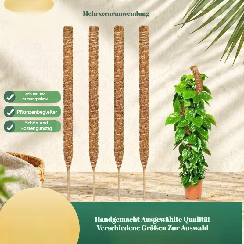 Monstera Stützstab aus Kokosfaser für Zimmerpflanzen