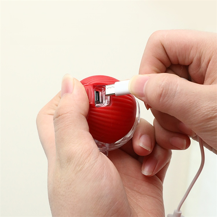 自動ティージングペットジャンピングボール