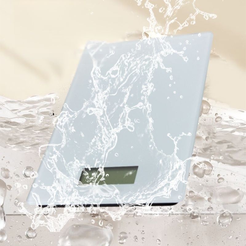 High Precision Electronic Scale
