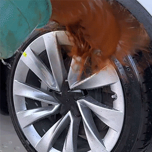 7.gif