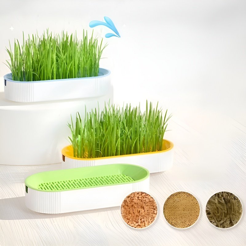 Caja para cultivar hierba para gatos sin tierra