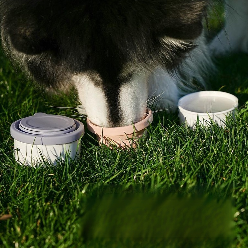 Bol pliable multifonction en silicone avec étui portable