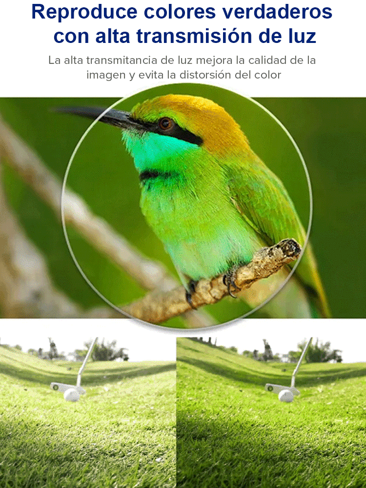 Las gafas que te acompañarán toda la vida: Ultraligeras y con autoenfoque.