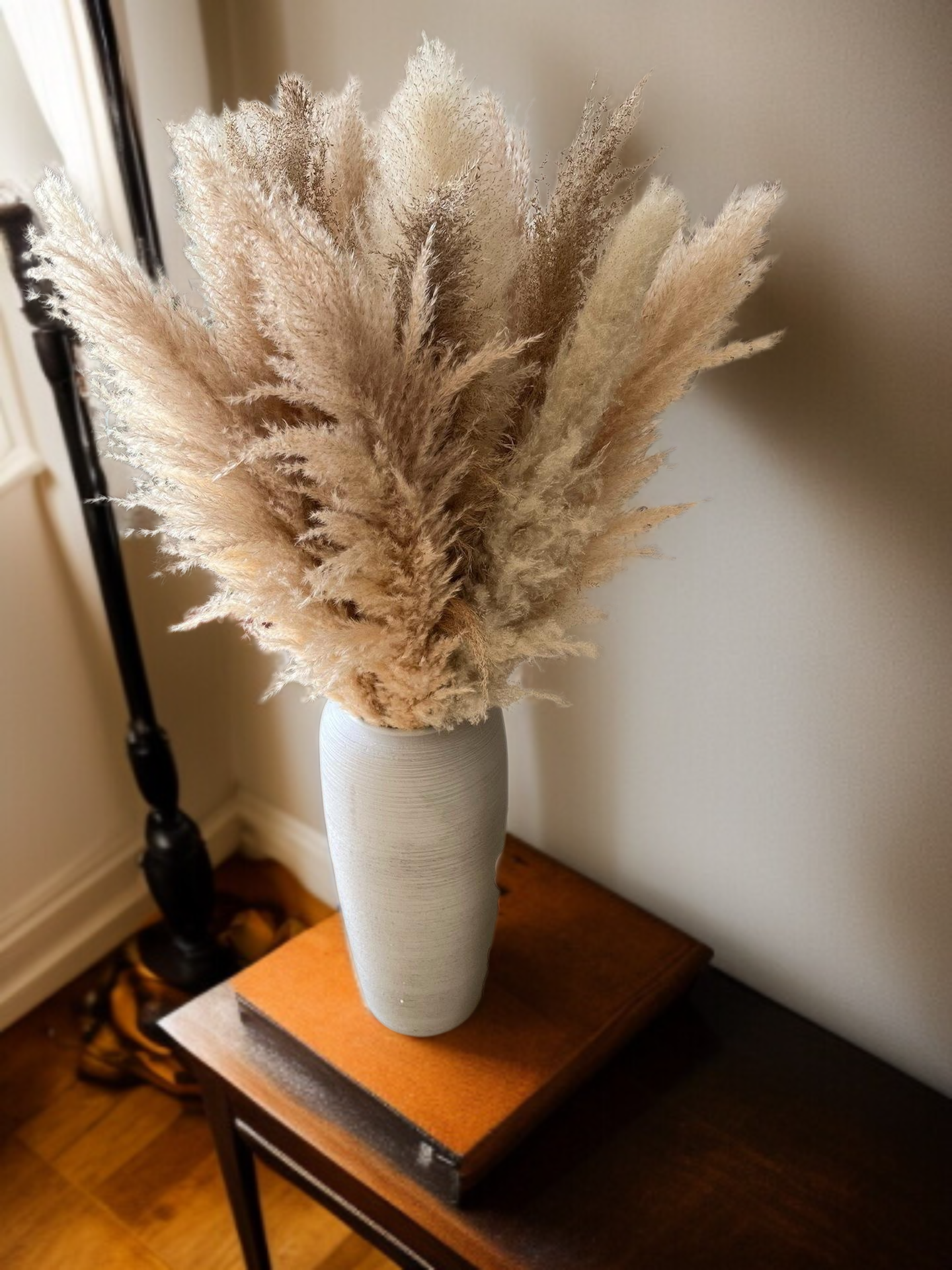 تفاصيل زهرة حمراء مجففة حقيقية